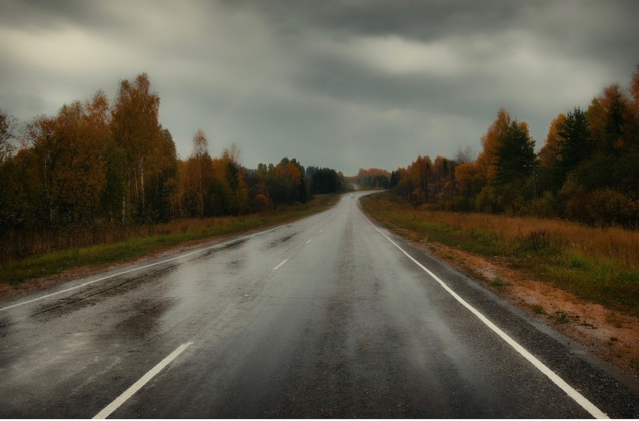 Ржавчиной взялись поля…