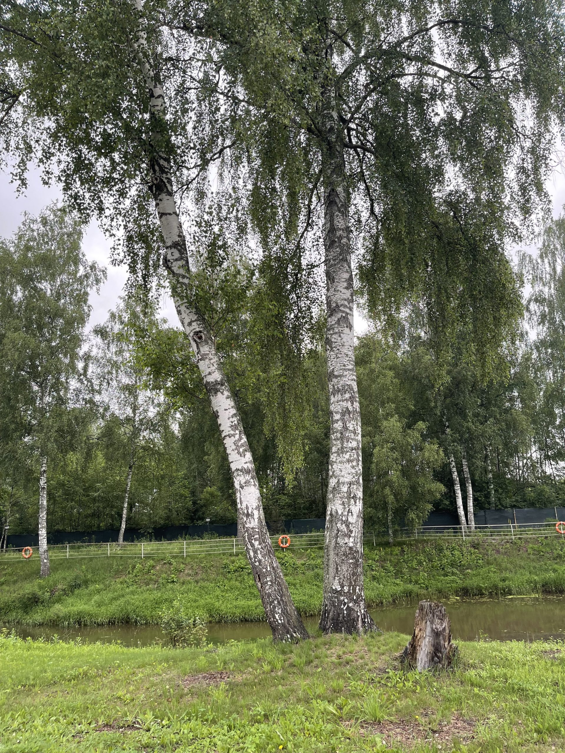 Я тебя на двести лет моложе…